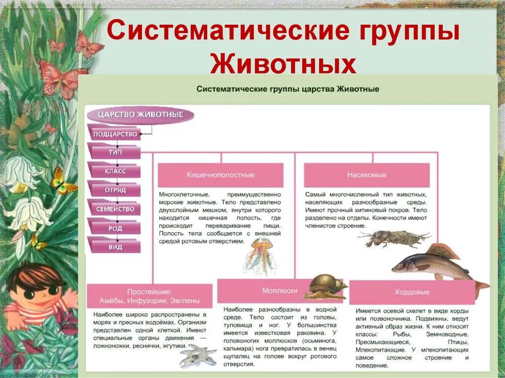 Типы животных в биологии 8 класс. Систематтчеуие грцппы жи. Систематические группы животных. Сисетатическик групвпв. Систимаьичекие группу.