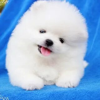 HuongTV "Huong TV" "Hương TV" "...