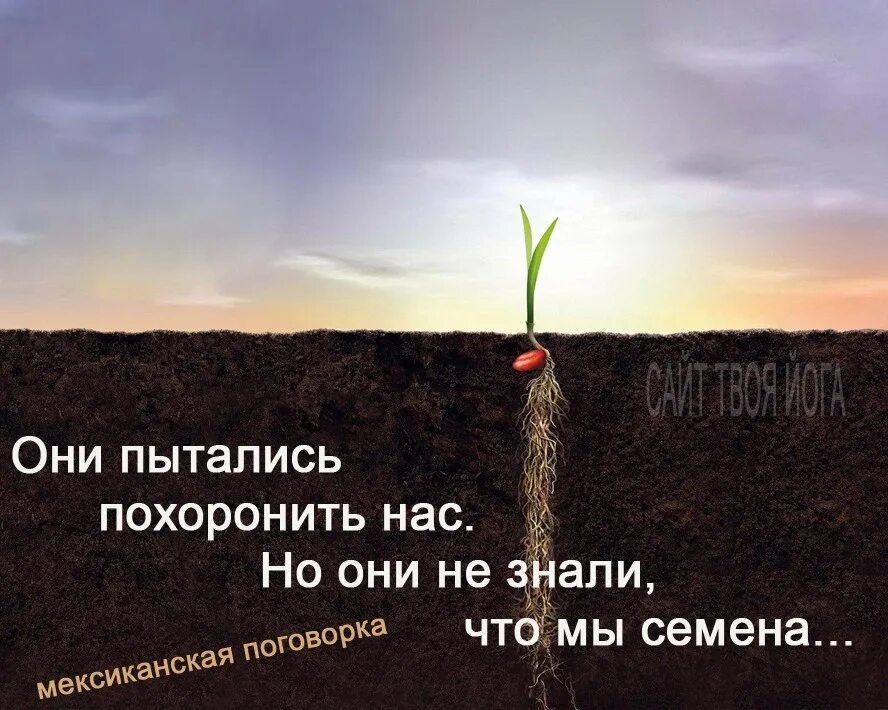 Выражение похороните