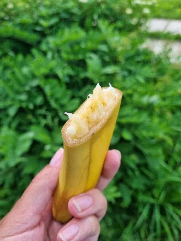 Красиво нарезать банан. Фигурки из банана. Блюда из фруктов для детей. Подача банана. Красивая нарезка из банана.