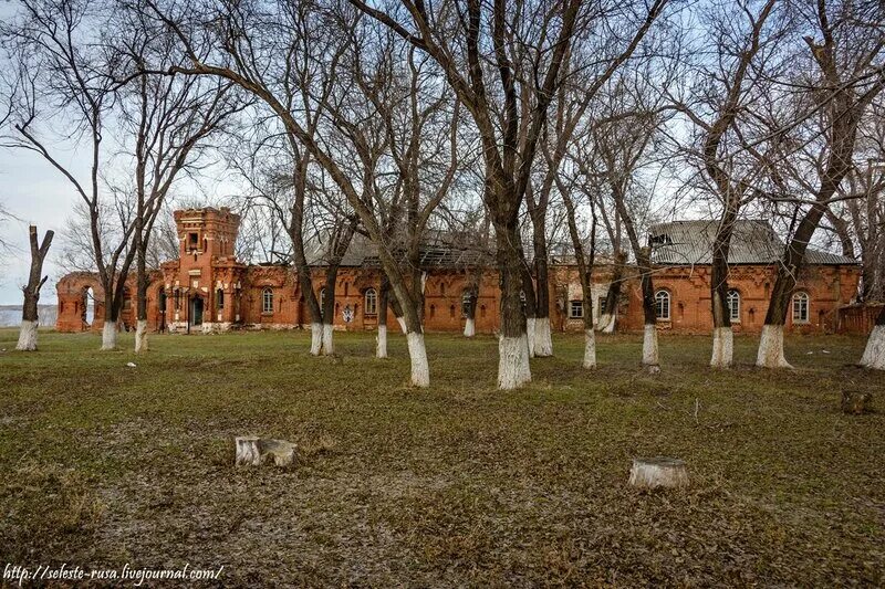 Усадьба самариных самарская область. Усадьба самариных самарская область. Усадьба самарина в приволжье. Село приволжье самарская область. Усадьба приволжье.
