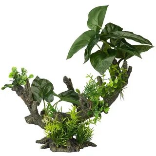 Plant aqua