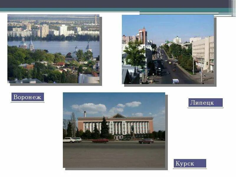 Что в курске и воронеже. Курск липецк. Мобилизованные из курска в воронеже. Курск воронеж. Что в курске и воронеже.