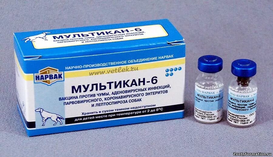 Лекарство для животных мультикан 6. Мультикан 6 для собак чума. Вакцина против чумы плотоядных. Мультикан 7 вакцина для собак.