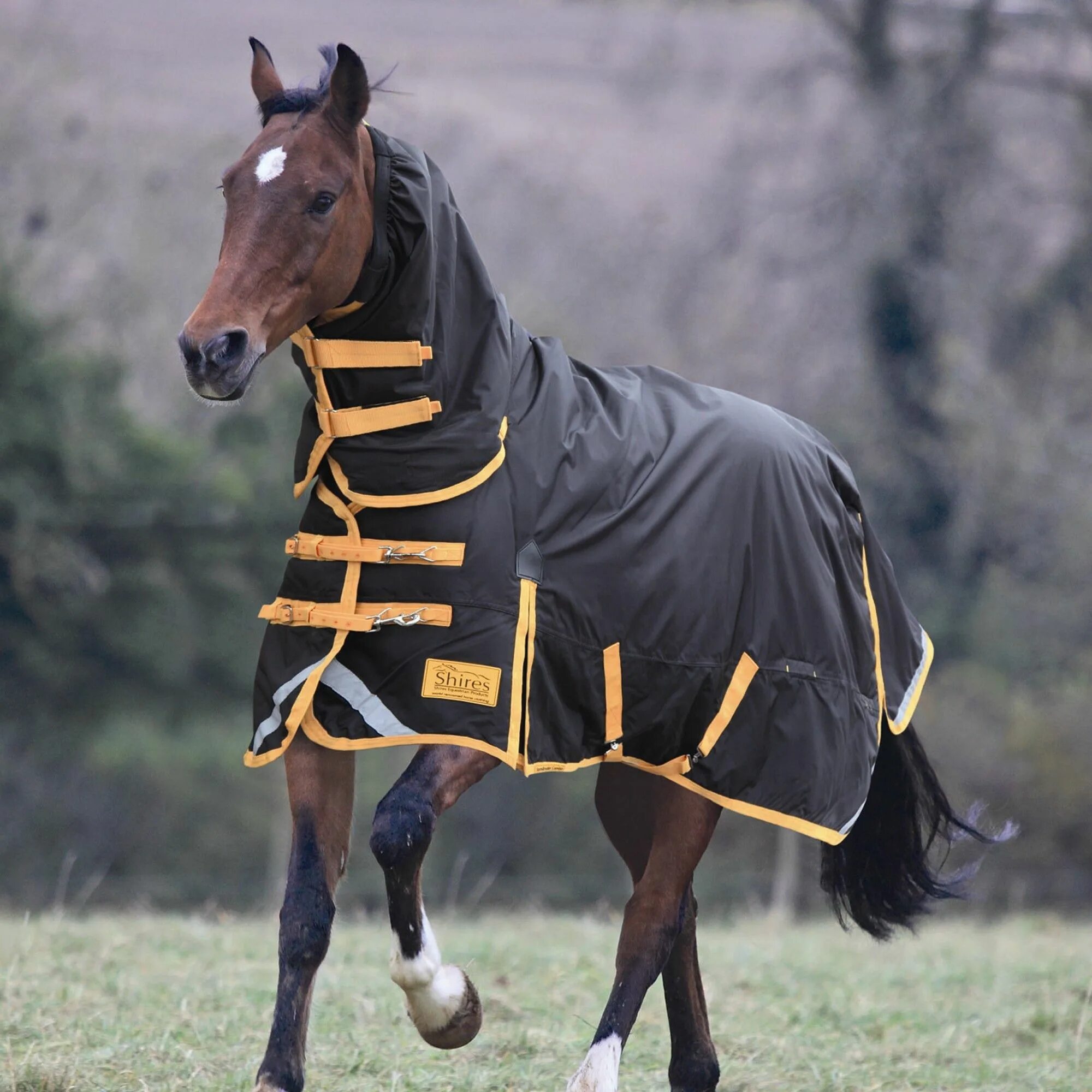 Полупопона horze. Конь в одежде. Атласная конская попона. Horse wear. Противомоскитная попона.