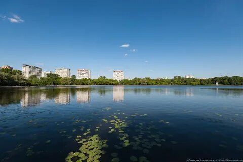 Красногорск д