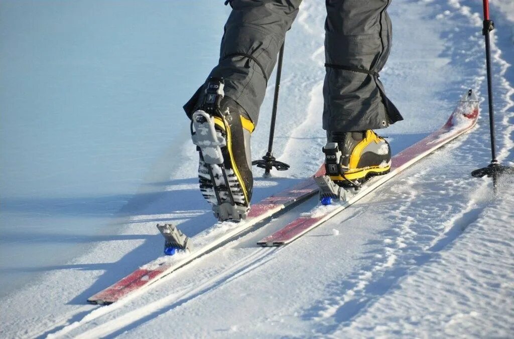 We like skiing. Лыжи в снегу. Беговые лыжи на снегу. Лыжи на ногах. Горные лыжи на ноге.