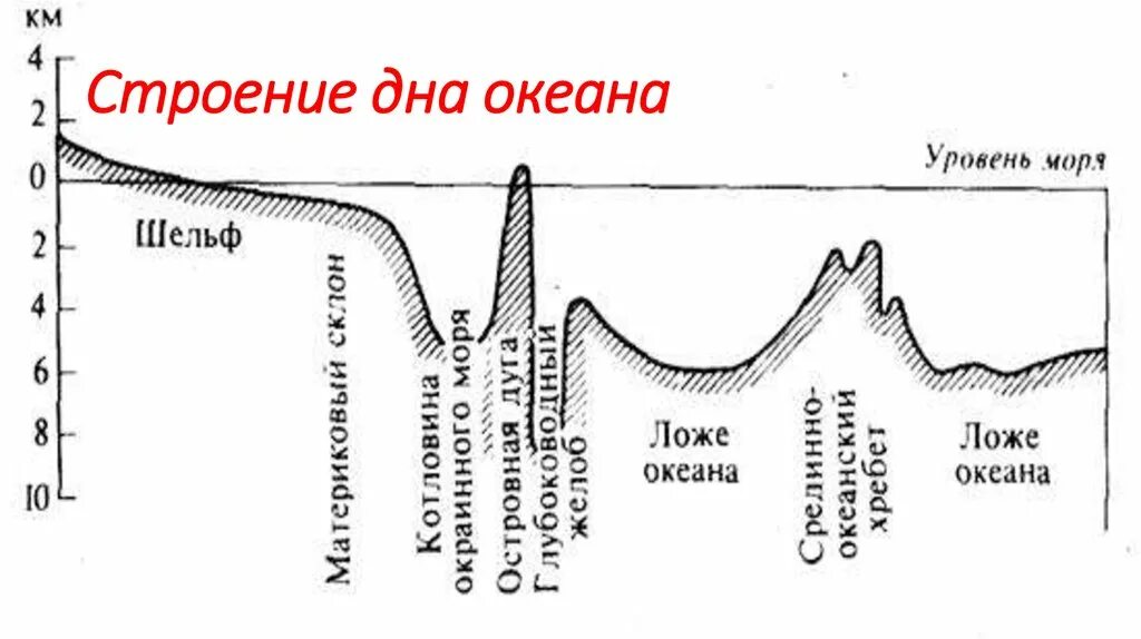 Рельеф дна мирового океана 5 класс география. Рельеф дна мирового океана 7 класс география. Рельеф суши, рельеф дна мирового океана. Формы рельефа дна мирового океана 6 класс.