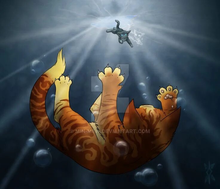 Кошка тонет