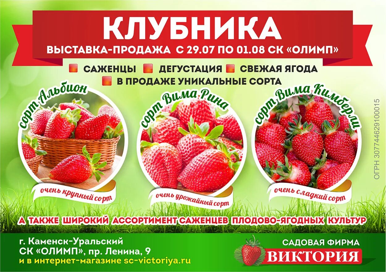 Можгинский питомник