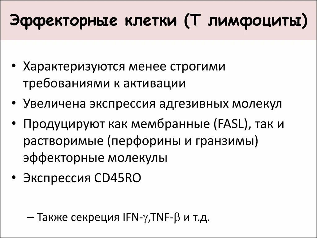 Регуляторные и эффекторные т лимфоциты. Классификация клеток иммунной системы. Назовите и охарактеризуйте эффекторные иммуноциты. Эффекторные клетки функции. Регуляторные клетки иммунной системы.