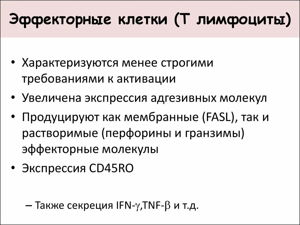 Эффекторные клетки т лимфоцитов. Эффекторные клетки. Эффекторные клетки функция. Т лимфоциты эффекторы.