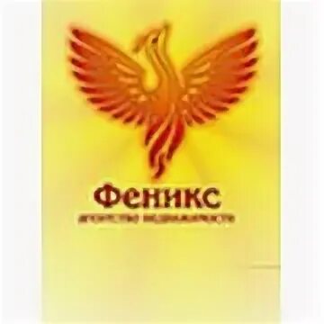 Программа пермь феникс