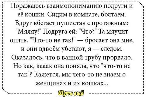Короткие истории из жизни детей