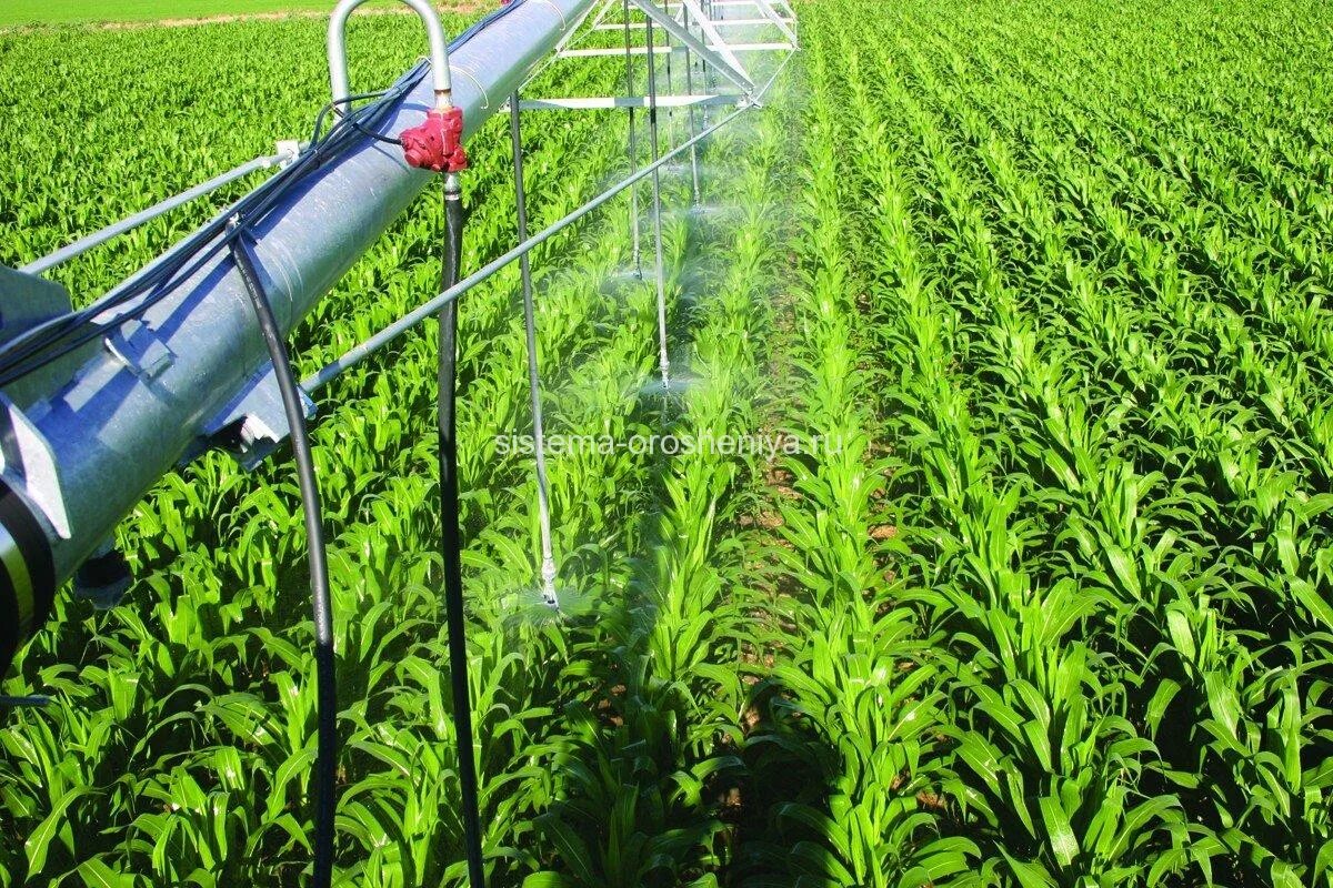 Самарканд ирригация. Тамшылап суару кезінде үнемделетін су көлемі. Тамшылап суару кезінде үнемделетін су көлемі. Тамшылап суару кезінде үнемделетін су көлемі. Afko дождевальные машины.