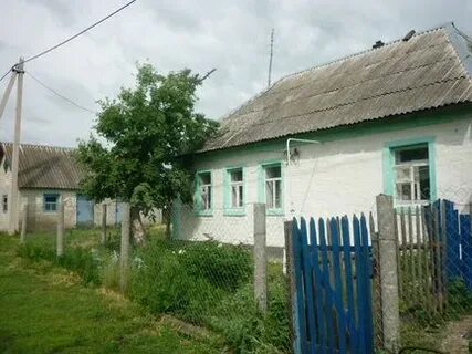 Авито волова