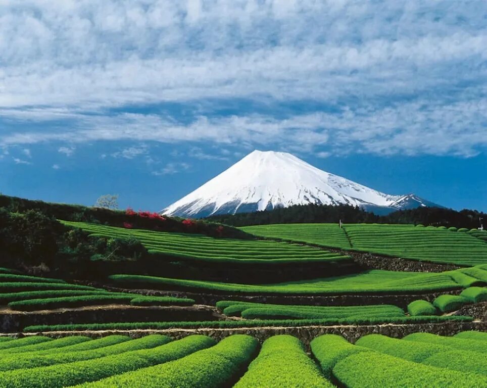 Япония крупнейший в мире. Гора Фудзияма в Японии. Гора Фудзи в Японии. Священная гора Фудзи. Гора Фудзияма в Японии фото.