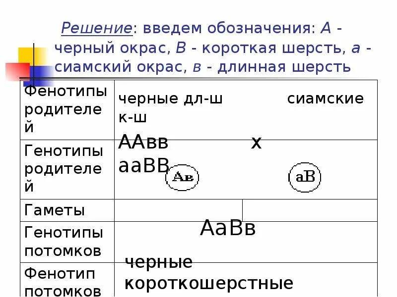 Дигибридное скрещивание как обозначается. Обозначение скрещивания. Схема вводного скрещивания. Дигибридное скрещивание обозначение. Знак скрещивания в геометрии.