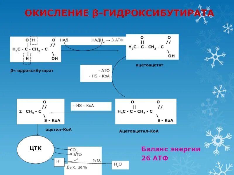 Окисление крахмала сколько атф. Энергетический выход окисления гидроксибутирата.. Окисление бета гидроксибутирата. Окисление НАДН АТФ. Ацетоацетат окисление.