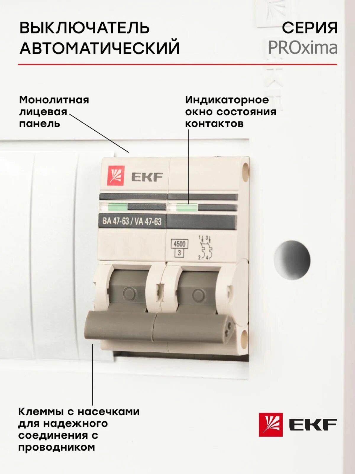 Автоматический выключатель ва 47 63 6а. Автоматический выключатель ekf ba 47-63. ekf proxima ba 47-63. ва 47-63 ekf proxima. ekf ва47-63.