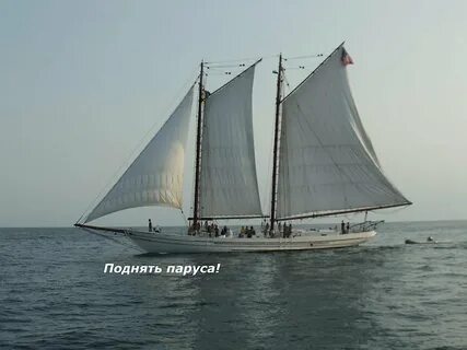 Сказала парус