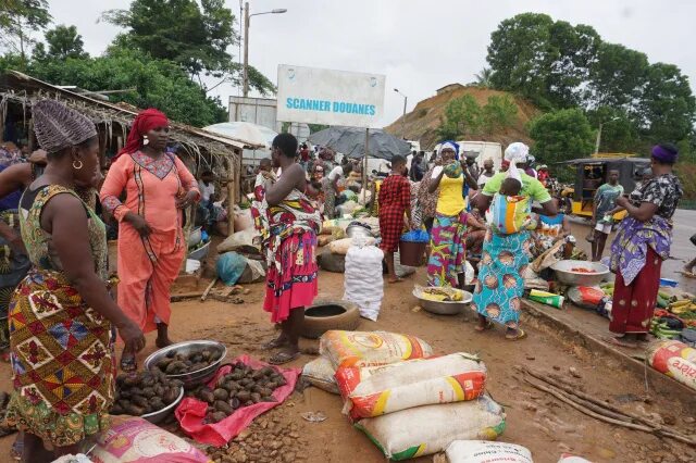 геморрагическая лихорадка марбург. In which states are guns illegal. карантин. гана вирус. вирус марбург (геморрагическая лихорадка).