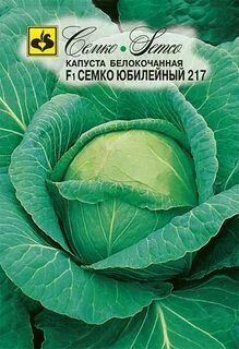 Сорт капусты юбилей
