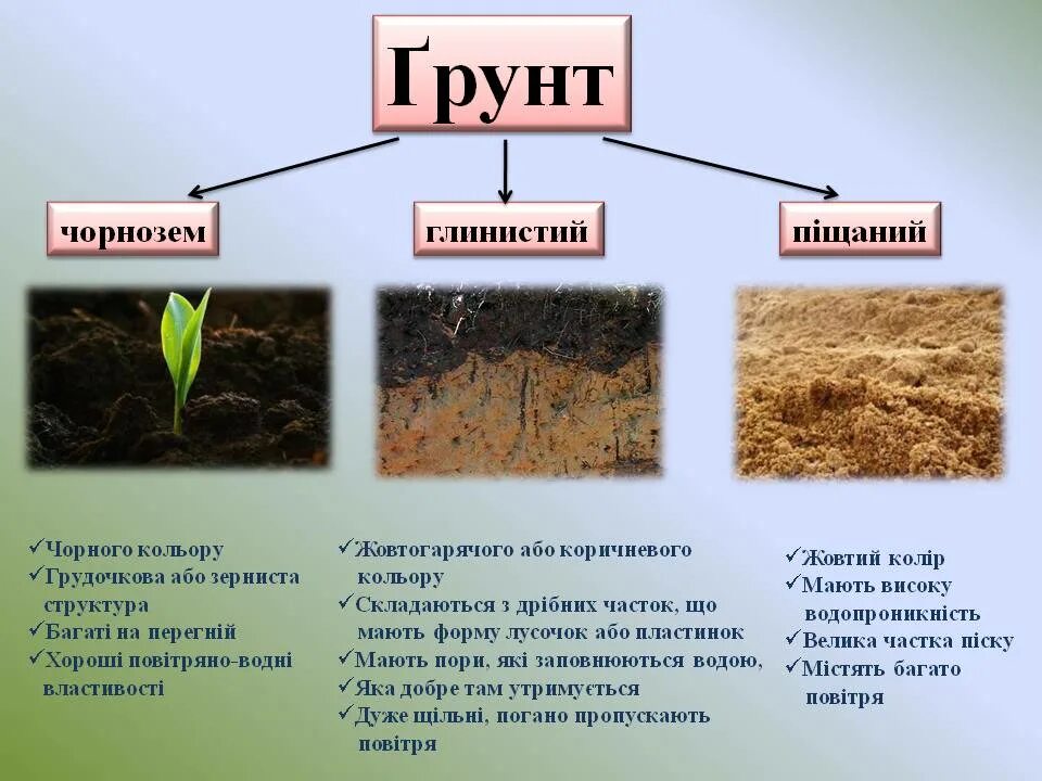 В чем состоит отличие почвы от горной. Почва схема. Виды грунтов. Виды почв. Охорона грунтів.