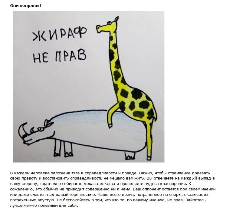 Неправы или не правы. Жираф был не прав. Картинка пересчитай. Когда-нибудь каждый поймет. Сергей дружко мемы.