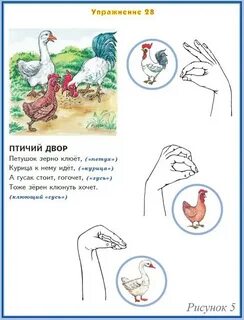 Пальчиковая гимнастика домашние птицы