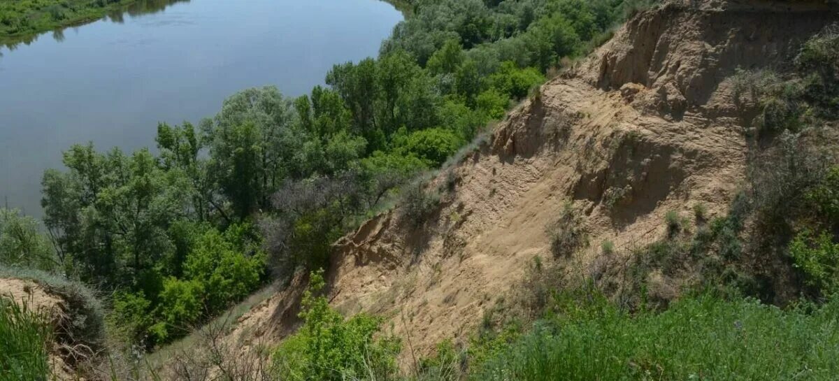 Река Дон Волгодонск. Пойменная терраса реки Дон. День реки Дон. С днем реки Дона. Вб дон