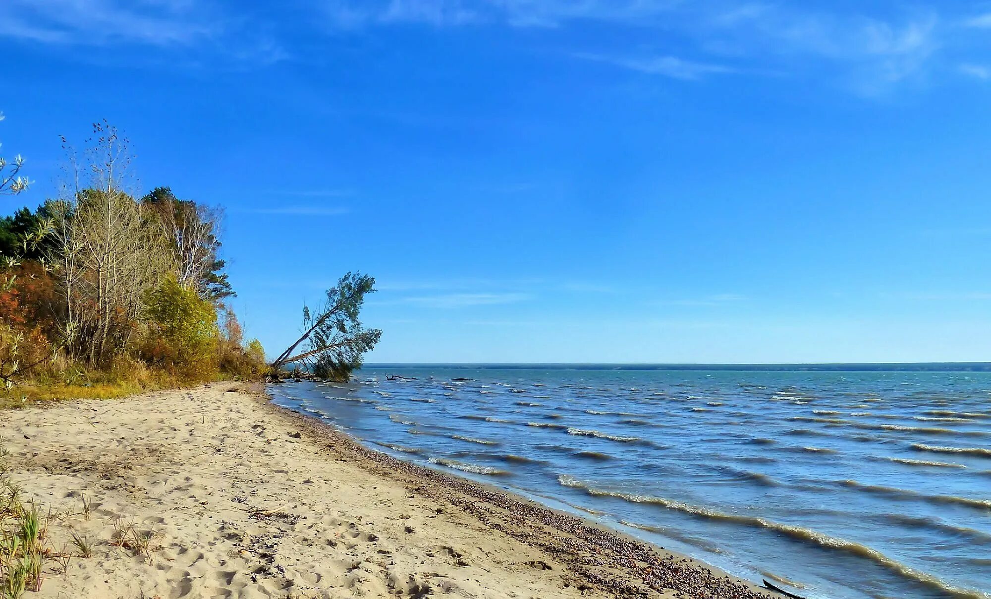 Береговое новосибирская область. Обское море Новосибирск. Бердское Обское море. Берега Обского водохранилища. Коса Новосибирск Обское море.