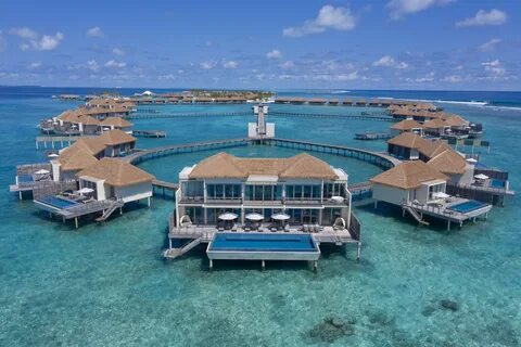 Barcelo whale lagoon maldives