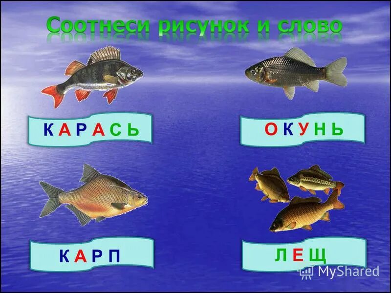 б в г д е е ж з и й к л м н о п р с т и й к л м н. б в г д е е. м. буквы с картинками ц,ш,щ,ы,ь. р ж к г щ о.