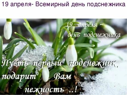 19 апреля 1