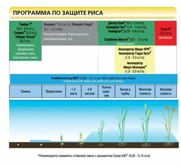 защита томатов от болезней и вредителей. обработка картофеля титусом. схема внесения удобрений. фазы развития свеклы. программа защиты томата.