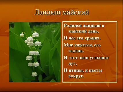 Родился в майский день