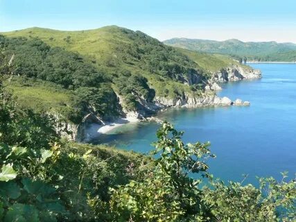 Приморский хасанский