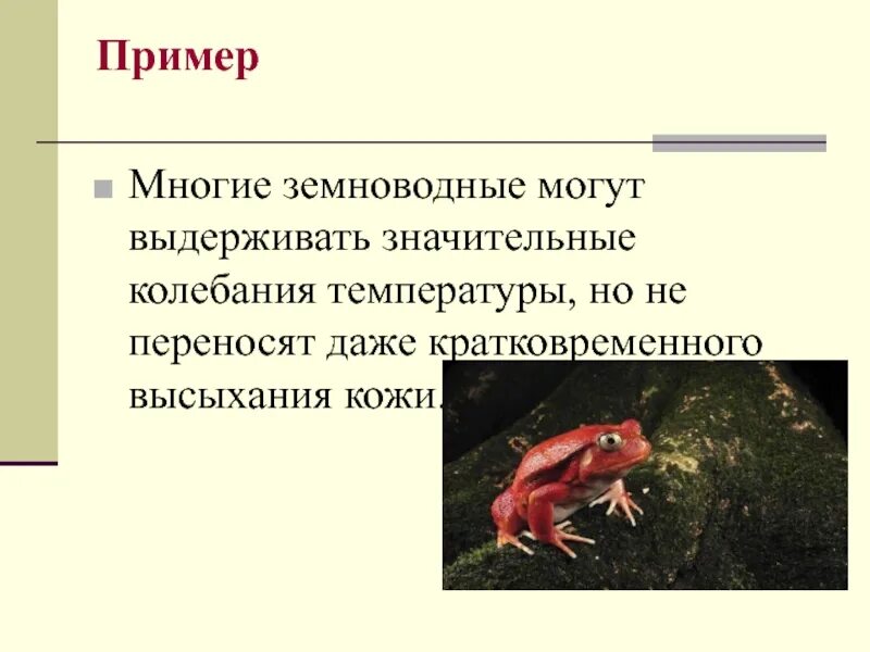 Организмы не способные к активному. Как переносят значительные колебания влажности животные. Животные ВЫНОСЯЩИЕ значительные колебания температуры.