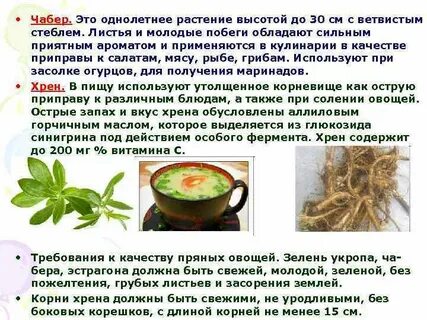 Фермент хрена