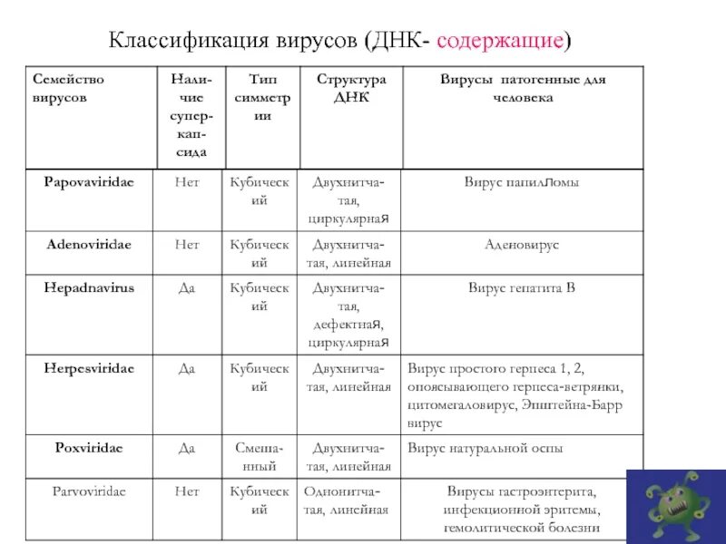 Вирус ковид группа патогенности. Вирусы ДНК И РНК содержащие таблица. Классификация вирусов семейства. Классификация вирусов ДНК И РНК содержащие вирусы. Вирусы ДНК И РНК содержащие классификация таблица.