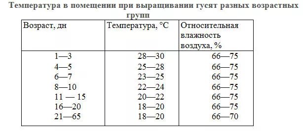 Температурный режим для гусят с первых дней. Температурный режим для гусят таблица. Температурный режим для утят таблица. Температурный режим содержания утят. При какой температуре можно цыплят