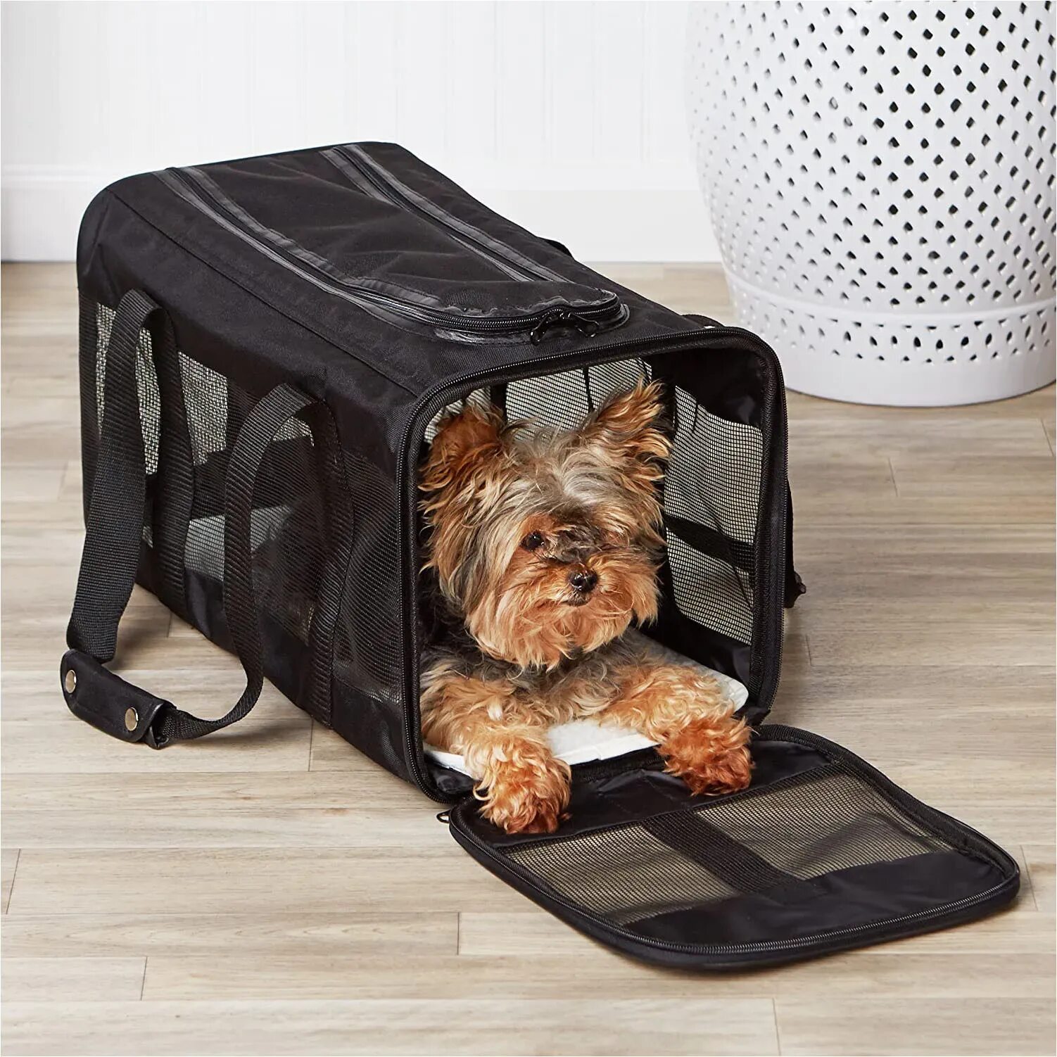 Pet bag. AMAZONBASICS Soft-Sided переноска. Pet Carrier переноска мягкая. Переноска для йоркширского терьера. Переноска kingstar Pet.