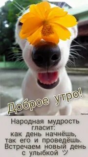 Фото поднимет настроение