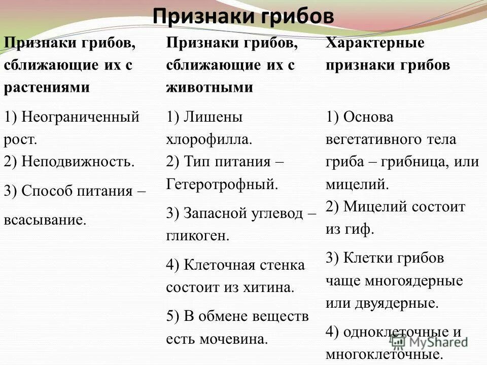 Каковы признаки грибов 5 класс. Основные признаки грибов 7 класс биология. Характерные признаки грибов 5 класс. Общие признаки царства грибов. Признаки царства грибов 7 класс.