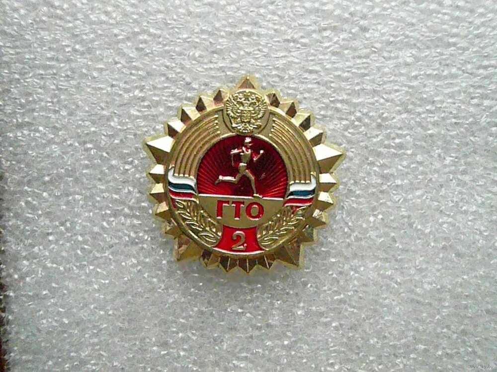 ступени золотого значка гто. участники гто. ступени золотого значка гто. гто золотой значок гто. значок гто 5 ступень золото.