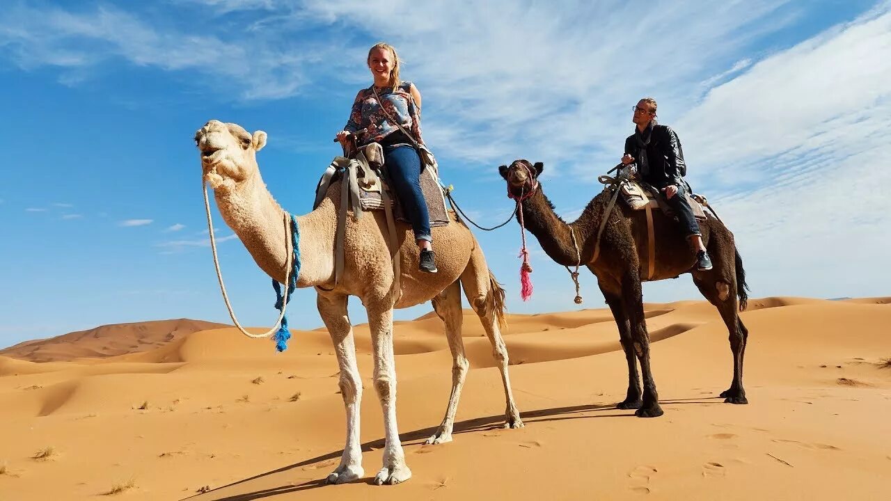 Merzouga Марокко. Morocco Camel Ride. Desert Camel Ride. Катание на верблюдах. Have you been to africa