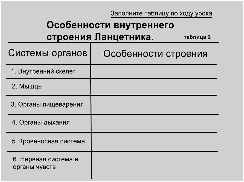Общие признаки хордовых животных - презентация онлайн