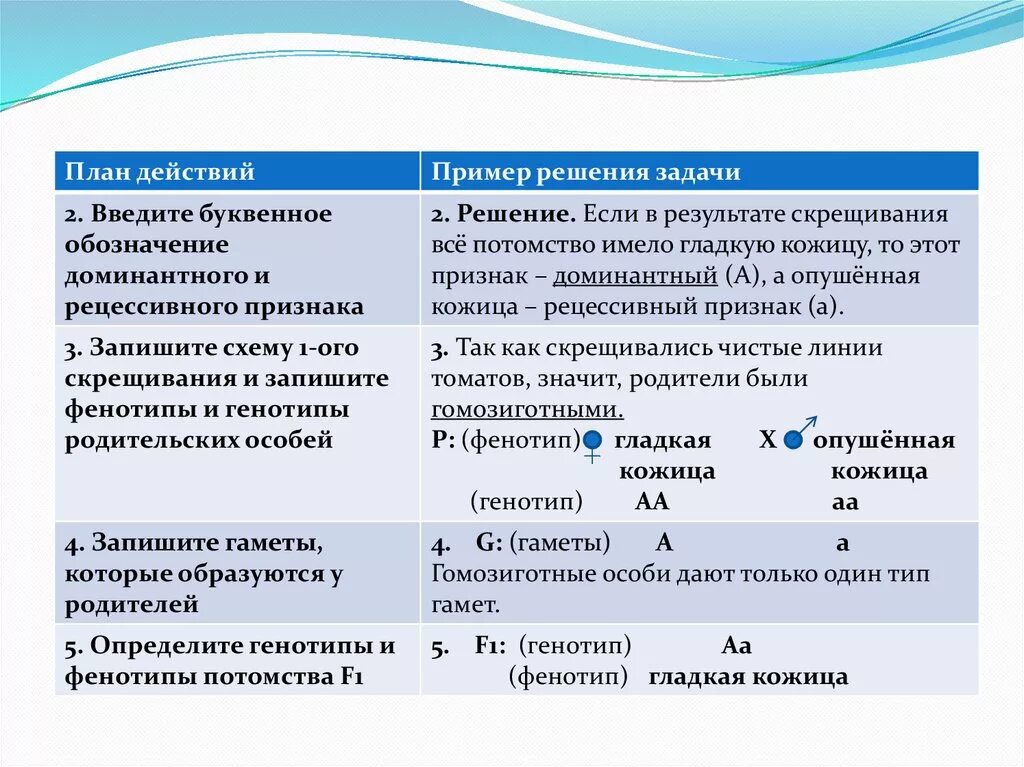 Определите какими могут быть генотипы второго родителя