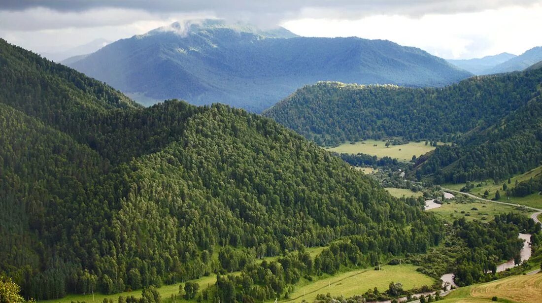 Шебалинский район село